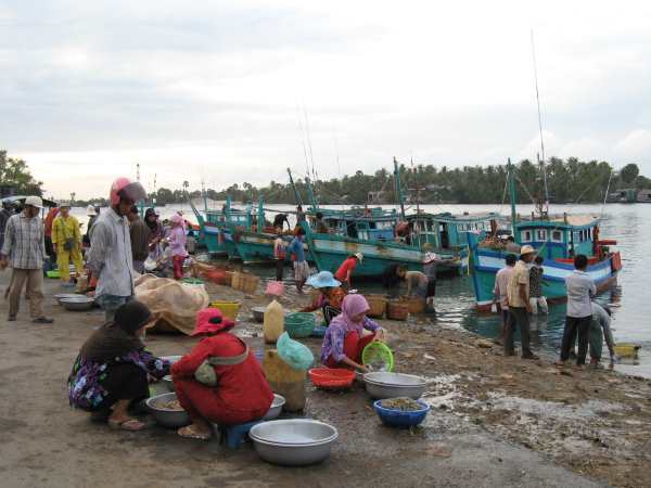 Fish market at Kampot.