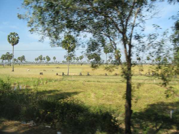 Passing countryside on bus